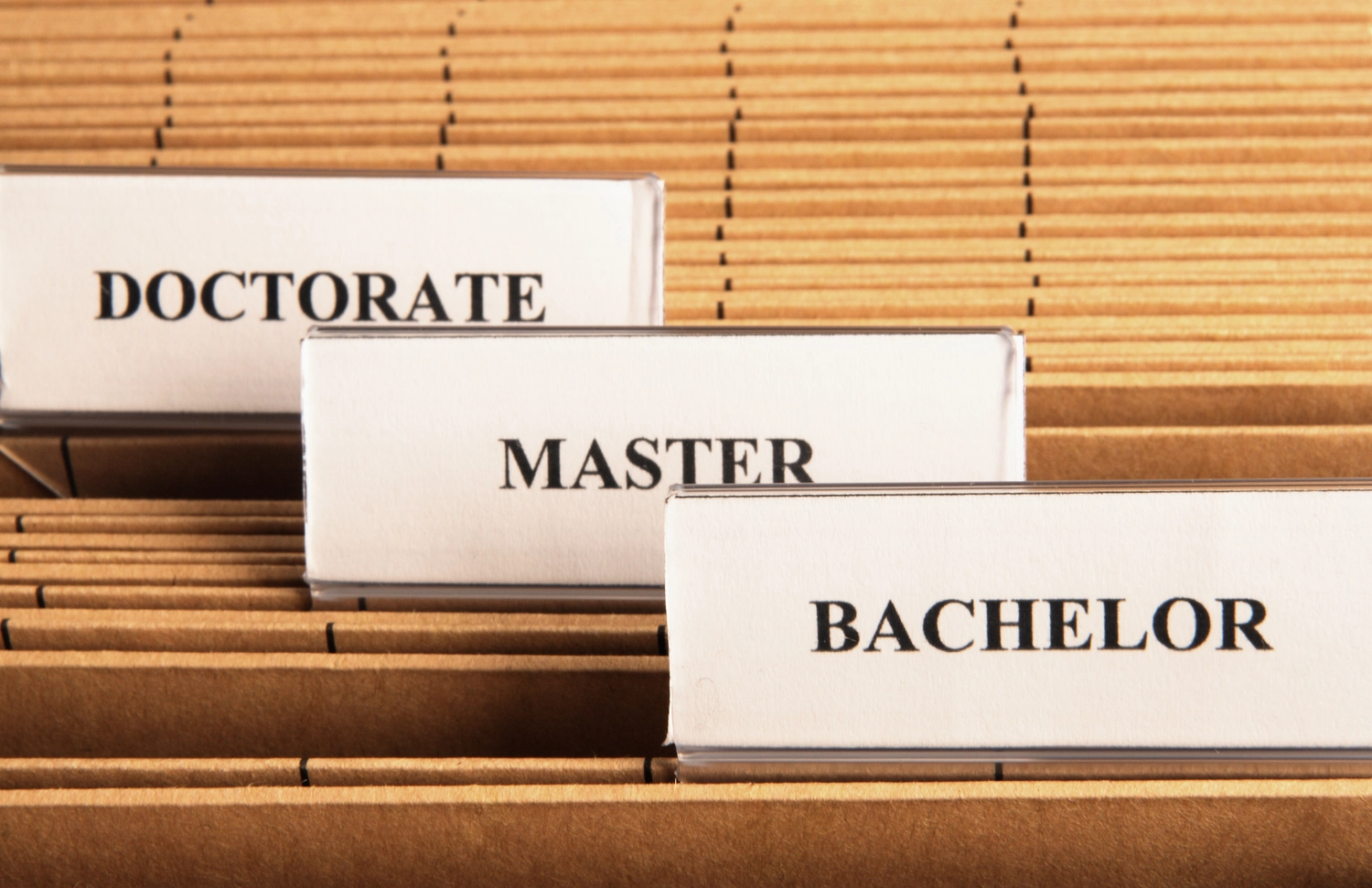 BD Medical Writing & Consulting - Hochschulabschlüsse