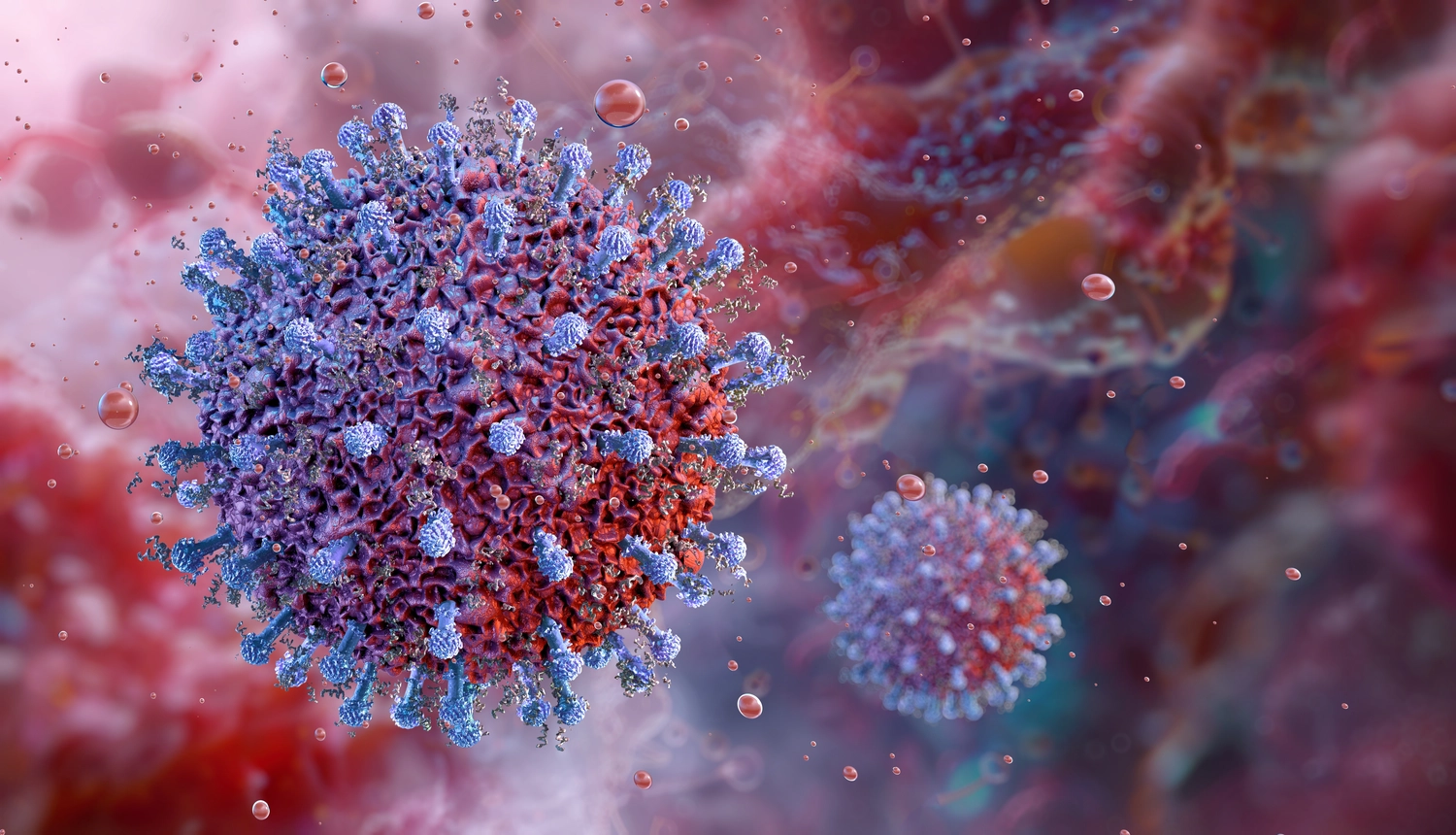 BD Medical Writing & Consulting - Eine künstlerische, digitale 3D-Illustration zweier kugelförmiger Coronavirus-Partikel in einer mikroskopischen Umgebung. Das größere Virus im Vordergrund zeigt blaue Spike-Proteine ​​auf einer strukturierten, rot-violetten Oberfläche vor einem verschwommenen roten Hintergrund.